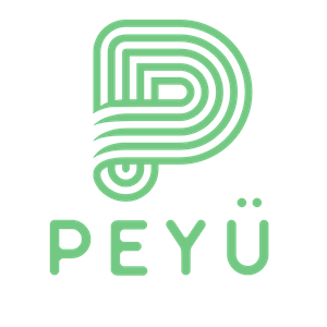 PEYÜ : Decentralized Micropayment Network Platform (DMNP) for Unbanked people
